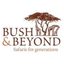 Bush & Beyond logo