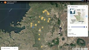 East Africa – The Great Migration: Updates from Big Five Tours & Expeditions – travel advisor webinar by Big Five Tours & Expeditions