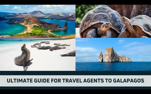 Ultimate Guide for Travel Agents to Galapagos – travel advisor webinar by Latin Trails