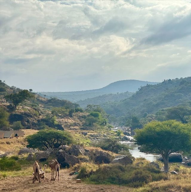 Back from Kenya with Bush & Beyond — Introducing Mara Siana – travel advisor webinar by Bush & Beyond