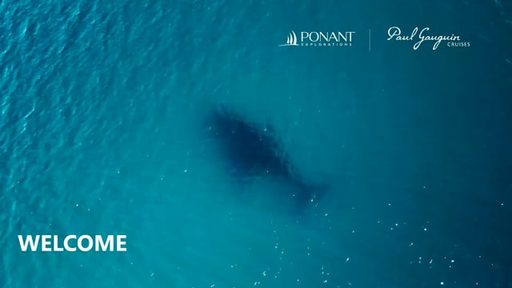 The Top 5 Paul Gauguin Cruises Tools Every Travel Advisor Should Know – travel advisor webinar by Paul Gauguin Cruises