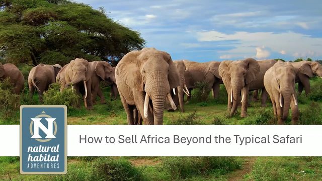 How to Sell Africa Beyond the Typical Safari – travel advisor webinar by Natural Habitat Adventures
