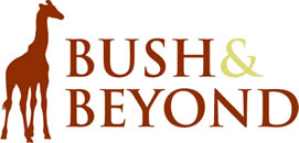 Bush & Beyond